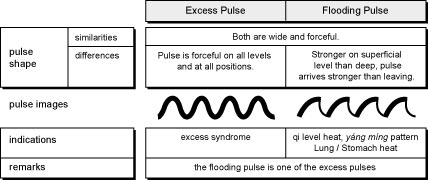 4.1.42.table 4.1.42.table The Excessive, Full, Replete Pulse (Shi Mai)