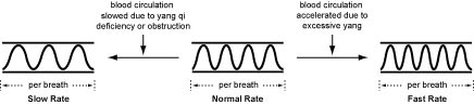 4.1.5.chart 4.1.5.chart Simple Pulse Qualities: Rate