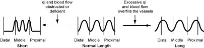 4.1.6.chart 4.1.6.chart Simple Pulse Qualities: Length