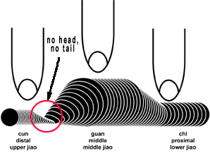 dong.mai dong.mai The Moving, Stirred, Spinning Bean, Bouncing Pulse (Dong Mai)