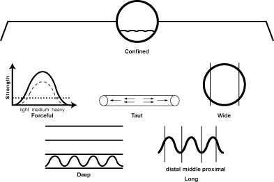 p.confined p.confined The Confined, Firm Pulse (Lao Mai)