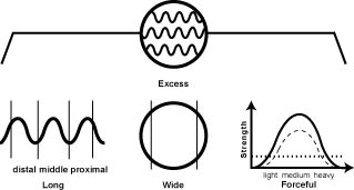 p.excess p.excess The Excessive, Full, Replete Pulse (Shi Mai)