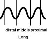 p.long p.long The Long Pulse (Chang Mai)