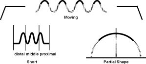 p.moving p.moving The Moving, Stirred, Spinning Bean, Bouncing Pulse (Dong Mai)
