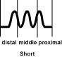 p.short p.short The Short Pulse (Duan Mai)