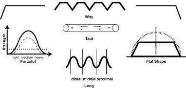p.wiry p.wiry The Wiry, String Taut, Taut, String Like, Bowstring Pulse (Xian Mai)