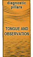 Tongue-Observation Tongue-Observation